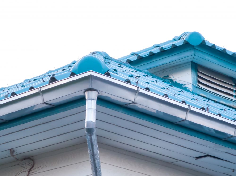 Gutter Flushing
