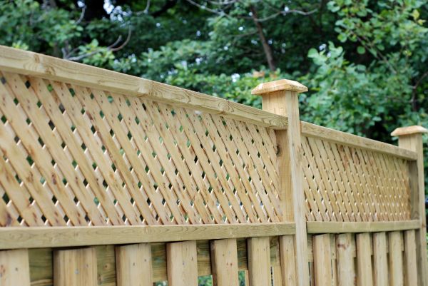 Fence Restoration