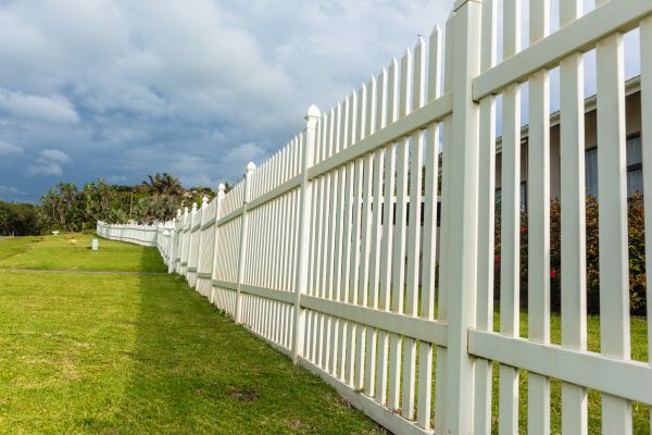Fence Renovation
