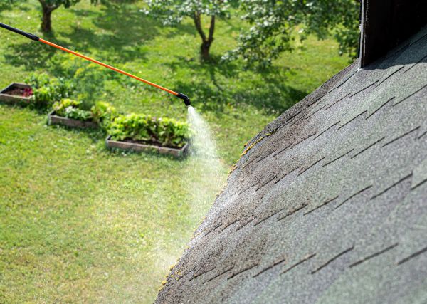 Roof Algae Cleaning