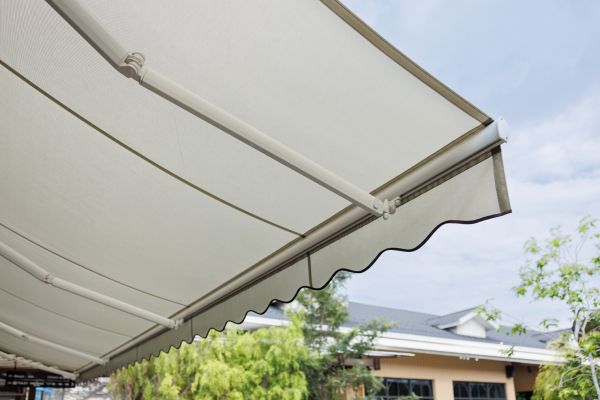Canopy Cleaning