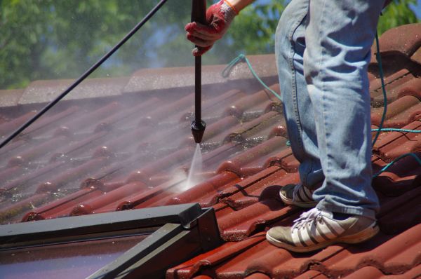 Roof Stain Removal