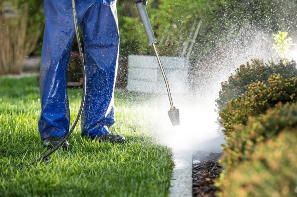 Curb Cleaning Service