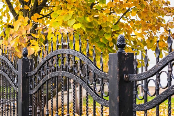 Wrought Iron Fence Washing Service