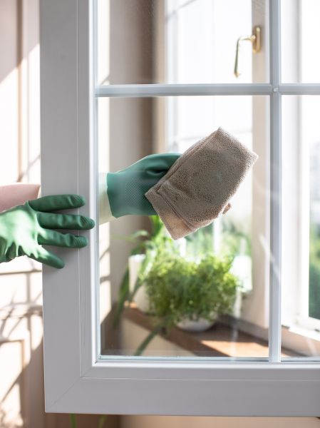 Condo Window Cleaning