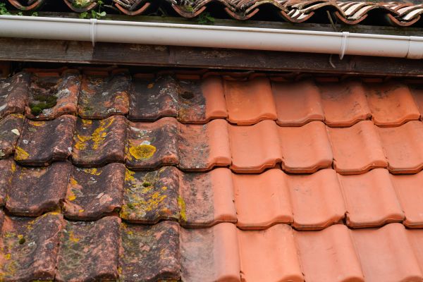 Industrial Roof Cleaning