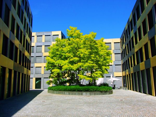 Condo Exterior Maintenance