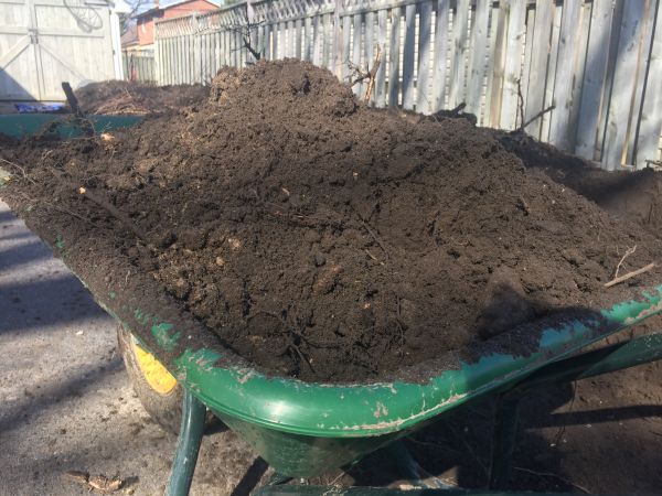 Poolside Dirt Removal