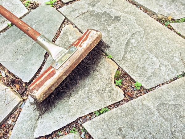 Stone Path Cleaning