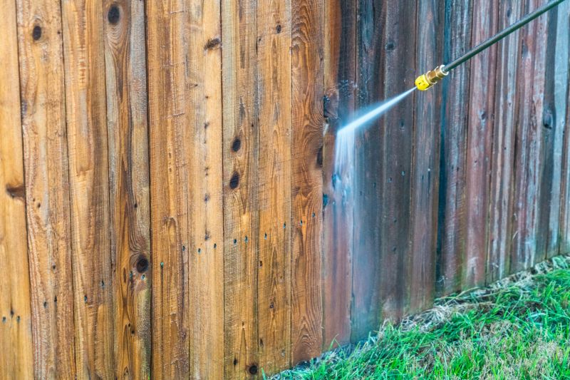 Iron Fence Pressure Washing